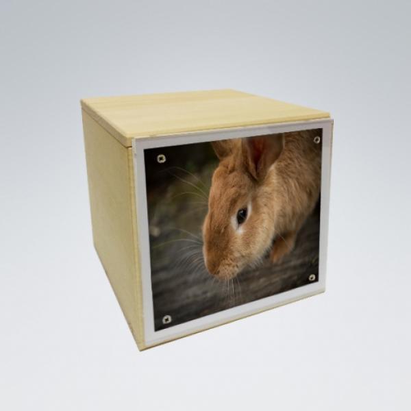 Tierurne oder Erinnerungs-Box Branka